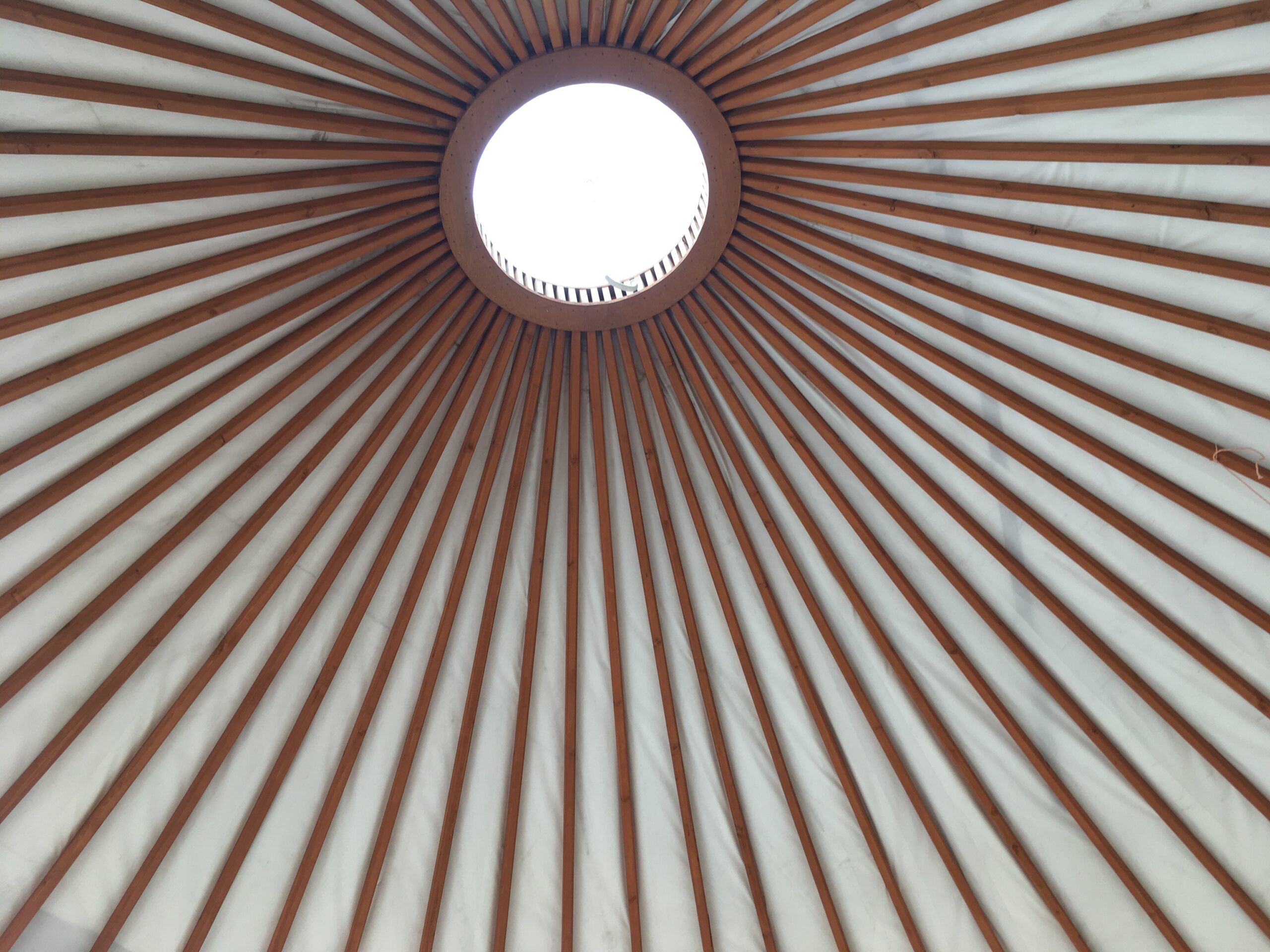 大自然の中、最高のリラックス